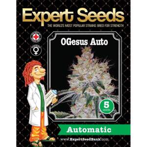 Expert Seeds OGesus Auto