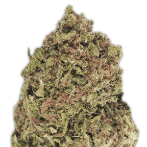 Heavyweight Seeds Dream Machine