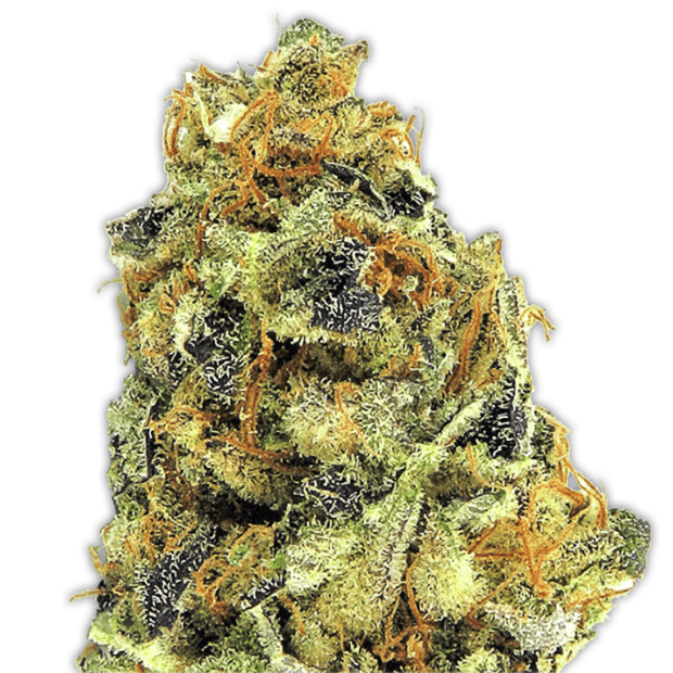 Heavyweight Seeds K.O. Kush
