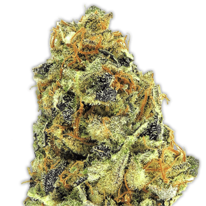 Heavyweight Seeds K.O. Kush