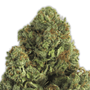 Heavyweight Seeds Midnight Mass