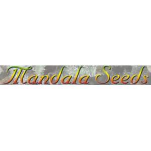 Medical Seeds Over Dawg
