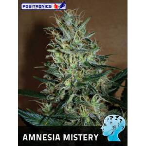 Positronics Amnesia Mistery