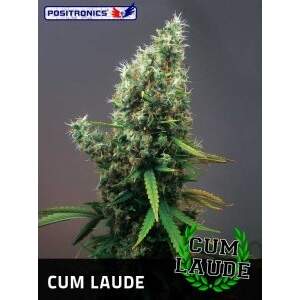 Positronics Cum Laude
