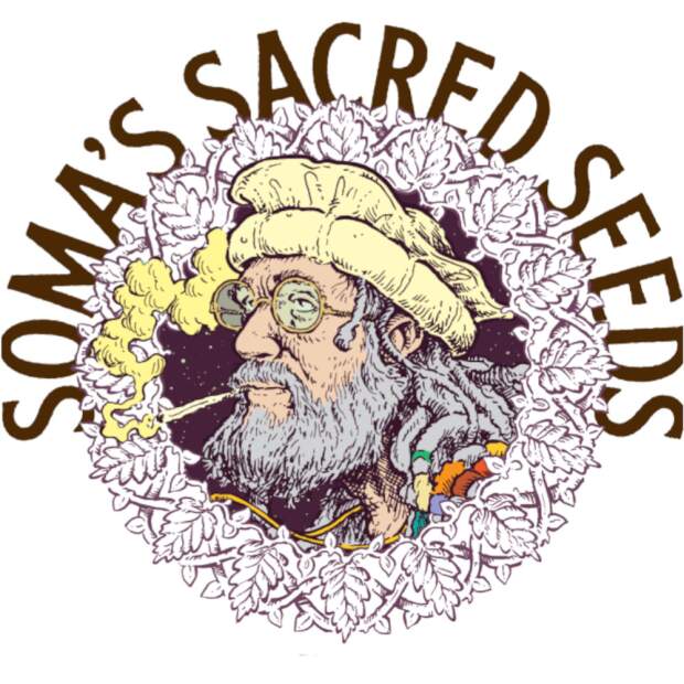 Soma Seeds So G Kush