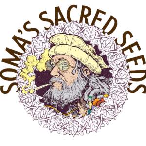 Soma Seeds So G Kush