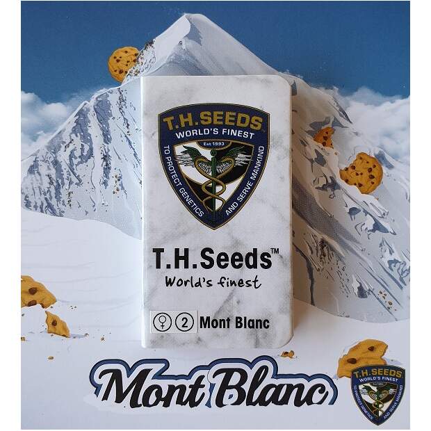 T.H. Seeds Mont Blanc