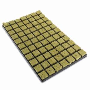 Cultiwool/Cultilene Steinwollkeile im 77er Tray