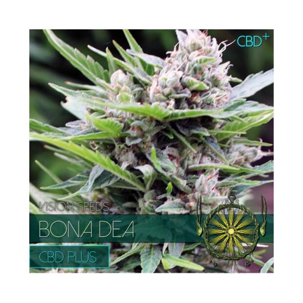 Vision Seeds Bona Dea - CBD+