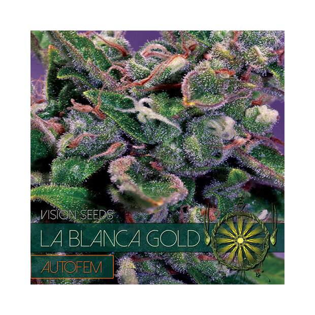 Vision Seeds La Blanca Gold Auto