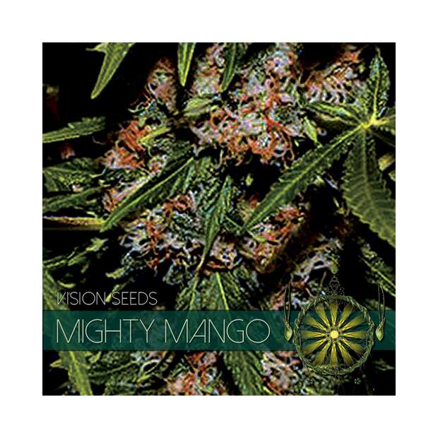 Vision Seeds Mighty Mango Bud