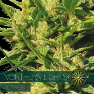 Vision Seeds Northern Lights Auto