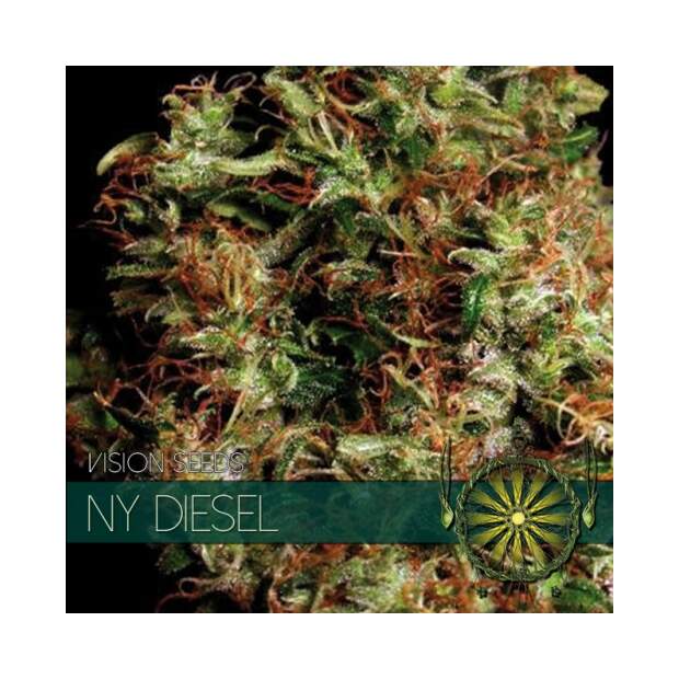 Vision Seeds Ny Diesel