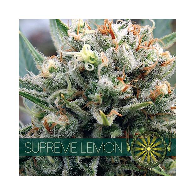 Vision Seeds Supreme Lemon