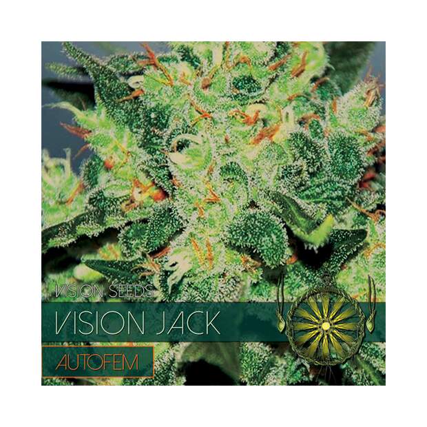 Vision Seeds Vision Jack Auto