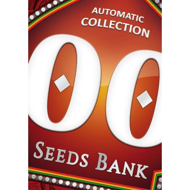00 Seeds Autofloracion Collection 1 6 pcs feminised