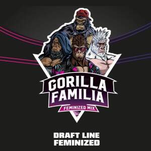 Bsf Seeds Gorilla Familia Feminized Mix - Draft Line 12...