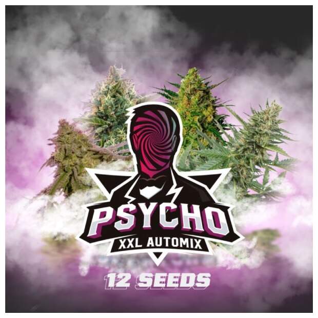 Bsf Seeds Psycho XXL Automix 12 Stk feminisiert