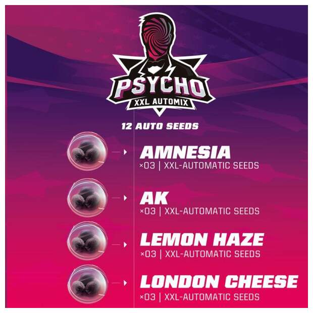 Bsf Seeds Psycho XXL Automix 12 Stk feminisiert