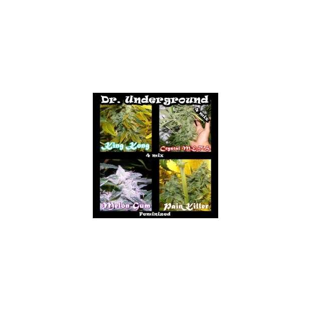 Dr. Underground Surprise Killer Mix 4 pcs feminised