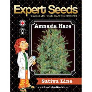 Expert Seeds Amnesia Haze 3 pcs feminised