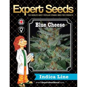 Expert Seeds Blue Cheese 10 Stk feminisiert