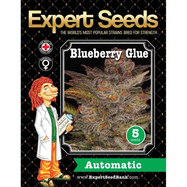 Expert Seeds Blueberry Glue Auto 3 pcs feminised