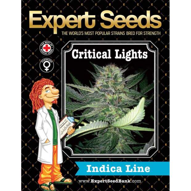 Expert Seeds Critical Lights 5 Stk feminisiert