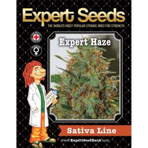 Expert Seeds Expert Haze 3 Stk feminisiert