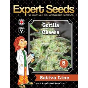 Expert Seeds Gorilla Cheese 3 pcs feminised