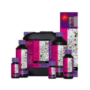 B´cuzz Bloom Stimulator 5L