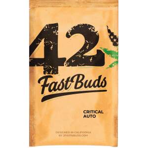 420 Fast Buds Critical Auto 3 pcs feminised