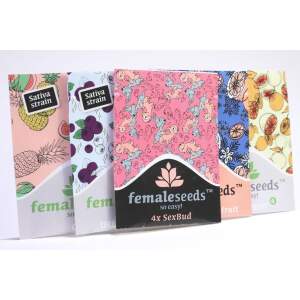 Female Seeds Indoor Mix 4 pcs feminised