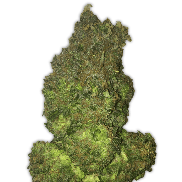 Heavyweight Seeds Fruit Punch Auto 3 Stk feminisiert