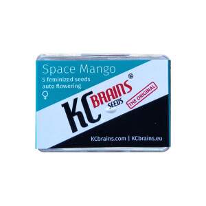 K.C. Brains Space Mango Auto 5 pcs feminised