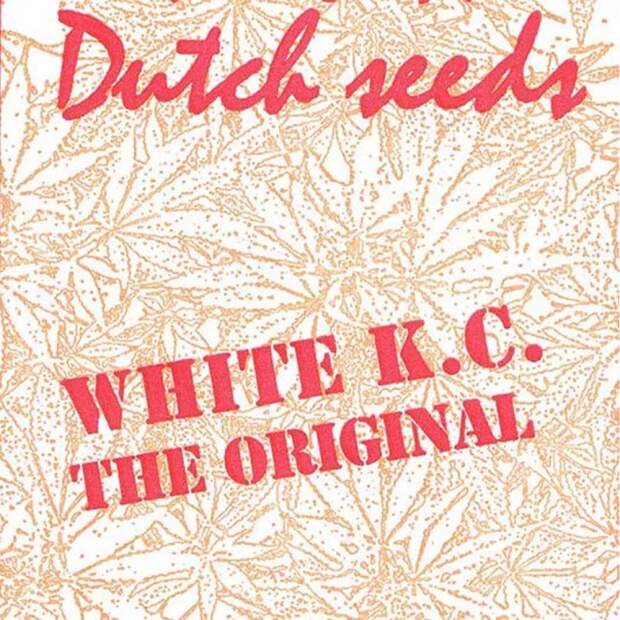 K.C. Brains White K.C. 5 pcs regular
