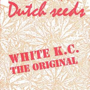 K.C. Brains White K.C. 5 pcs regular