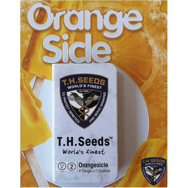T.H. Seeds Orangesicle 6 Stk feminisiert