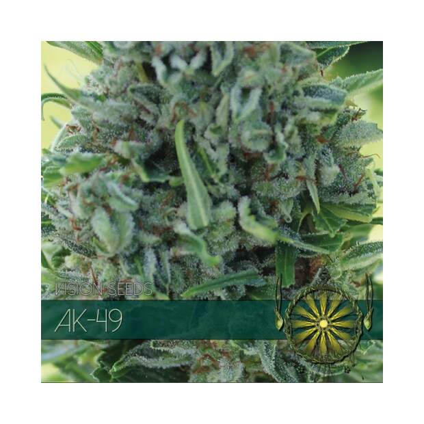 Vision Seeds AK-49 10 pcs feminised