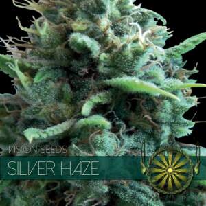 Vision Seeds Silver Haze 5 pcs feminised