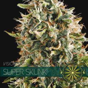 Vision Seeds Super Skunk 3 pcs feminised