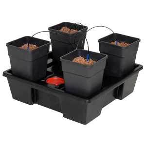 Wilma Hydroponic System