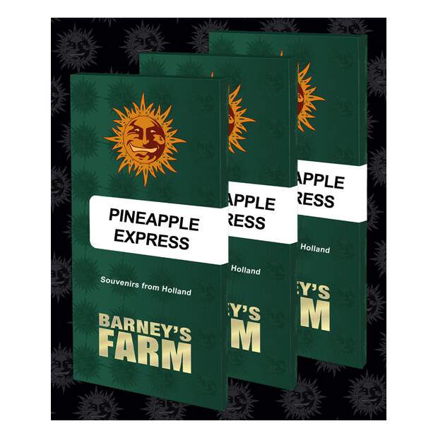 Barneys Farm Pineapple Express