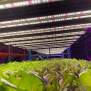 Hortimol Tled Bar 60W 120cm