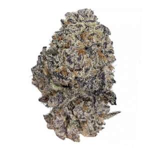 Growers Choice Original Oreoz 3 Stk feminisiert