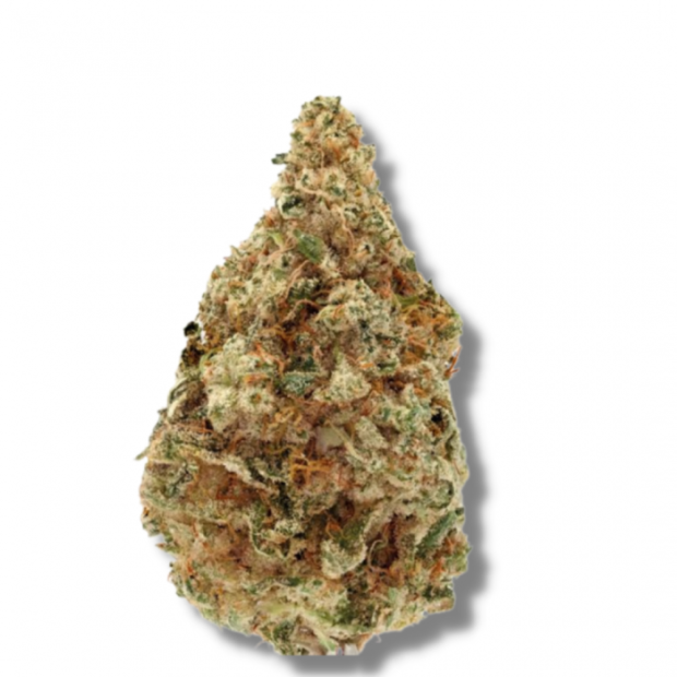 Growers Choice Charlottes Dream CBD 5 pcs feminised