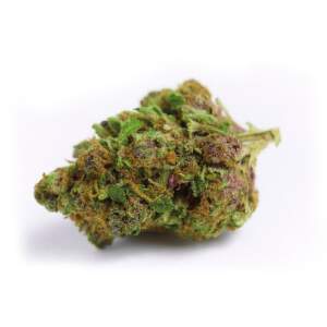 Growers Choice Double XL Red Banana Berry 3 pcs feminised