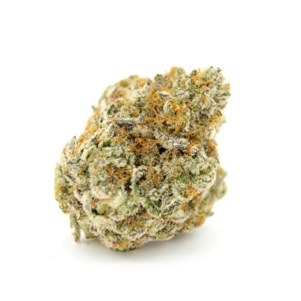 Growers Choice Double XL Forbidden Runtz Auto 3 pcs feminised