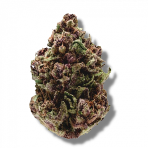 Growers Choice Pink Magic Fast Version 5 Stk feminisiert