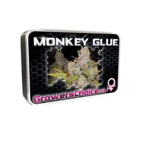 Growers Choice Monkey Glue 5 pcs feminised